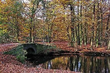 Renenpark